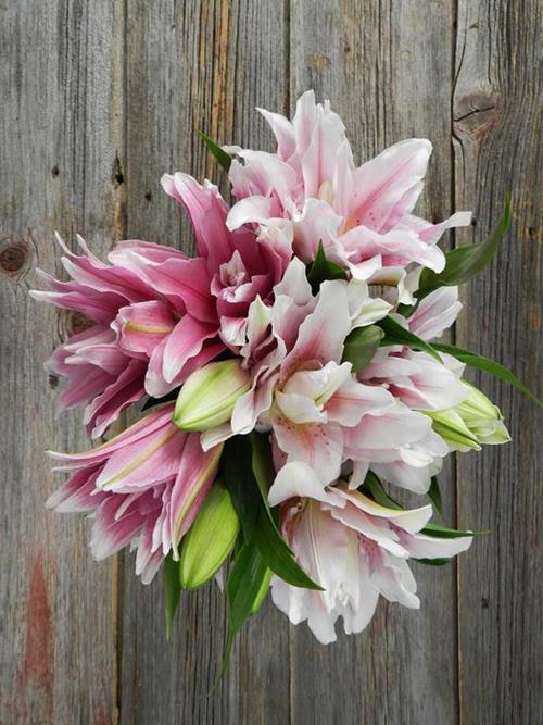 DOUBLE BLOOM ROSE LILY  ASSORTED PINK & WHITE COLOR LILIES